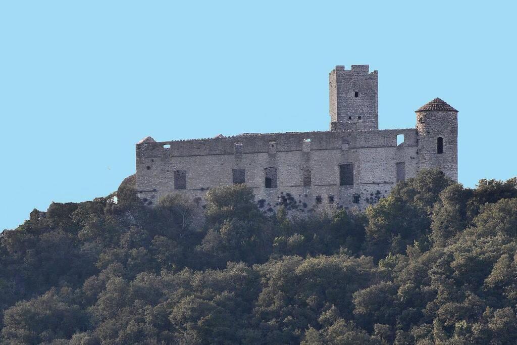 Anduze Gite Les Pins Au "Petit Clos Des Cigales" Massillargues-Attuech Exteriör bild